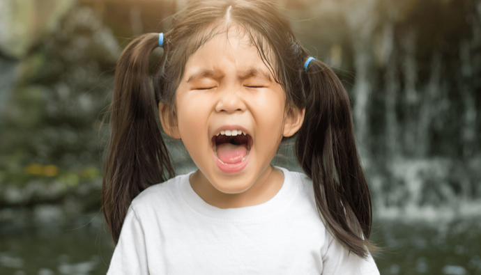 Top 10 Tips To Curb Tantrums, and The Absolute 10 No-No's