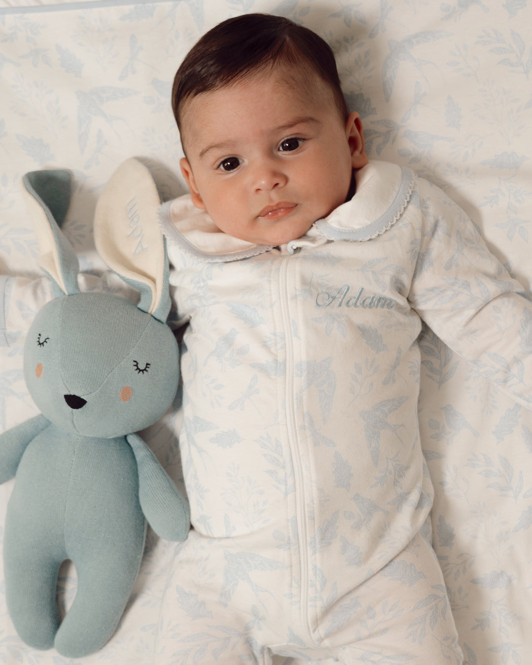 Ages 0 to 24 months