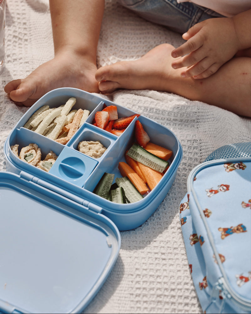 Lunch Boxes & Snack Boxes