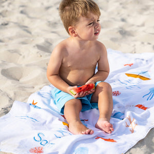 Seaside Towel