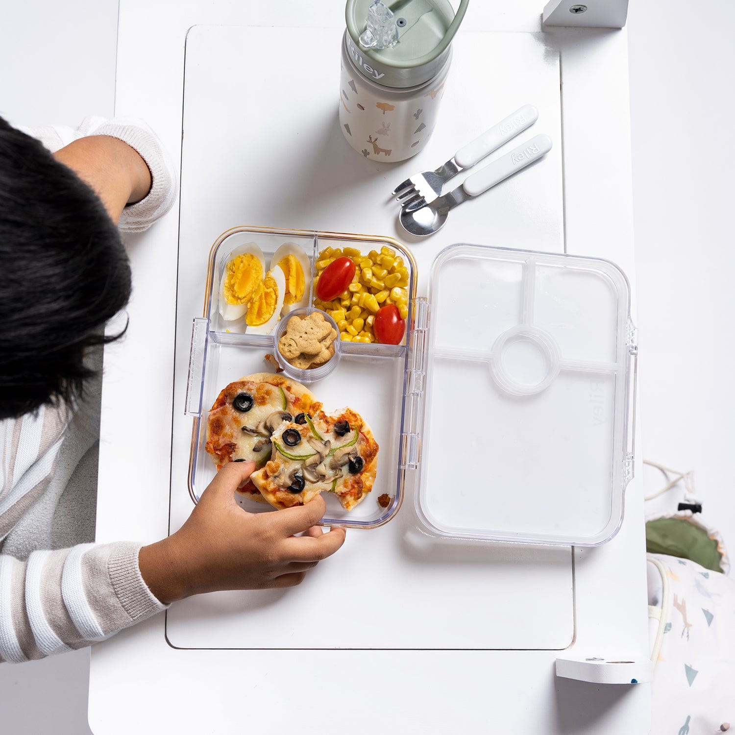 Party Favour: Woodland Lunchbox - 4 Compartments