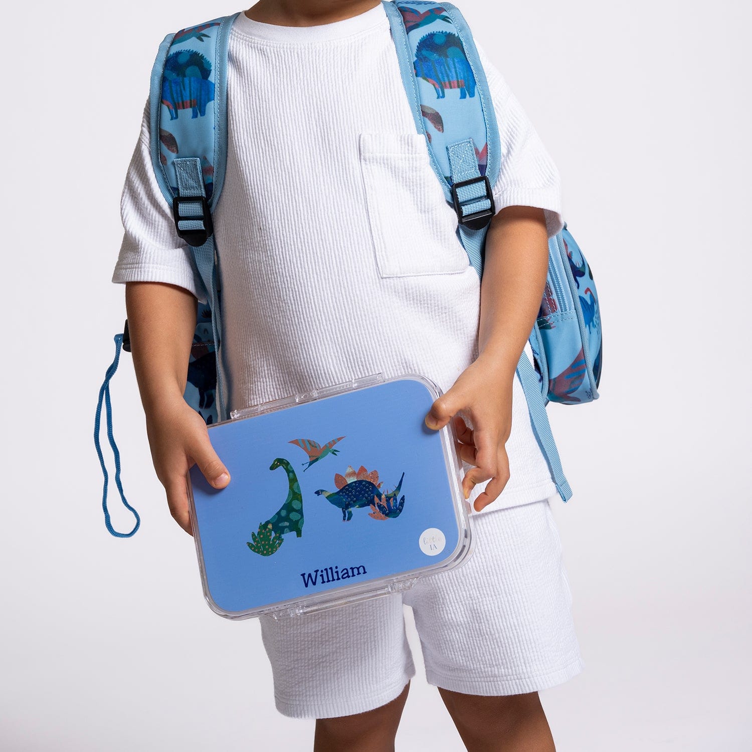 Party Favour: 4-Compartment Dino Bento Box