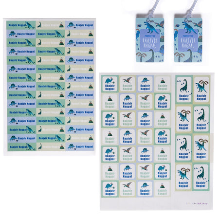 Sticker & Luggage Tag Set - Dinosaur