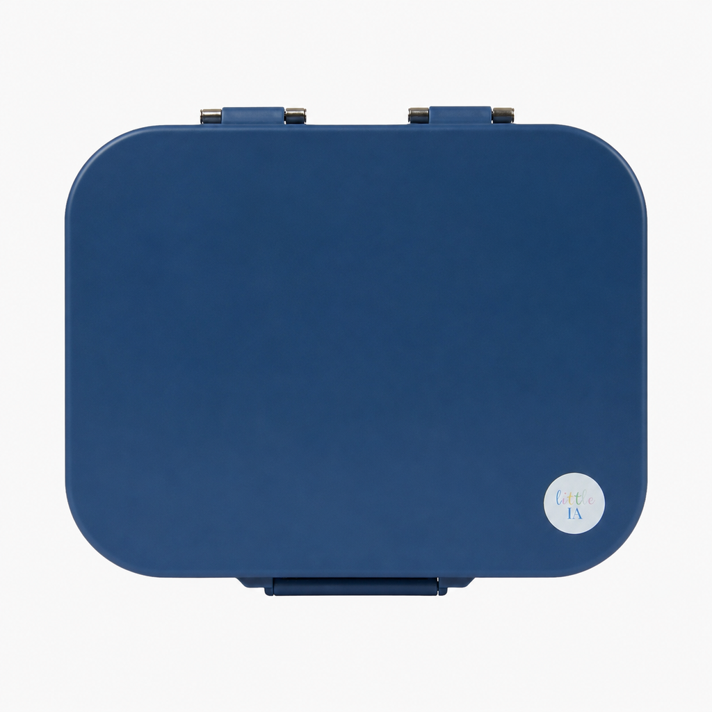 Party Favour: Plain Stainless Steel Lunchboxes