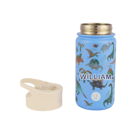 Party Favour: Dino Insulated Water Bottle