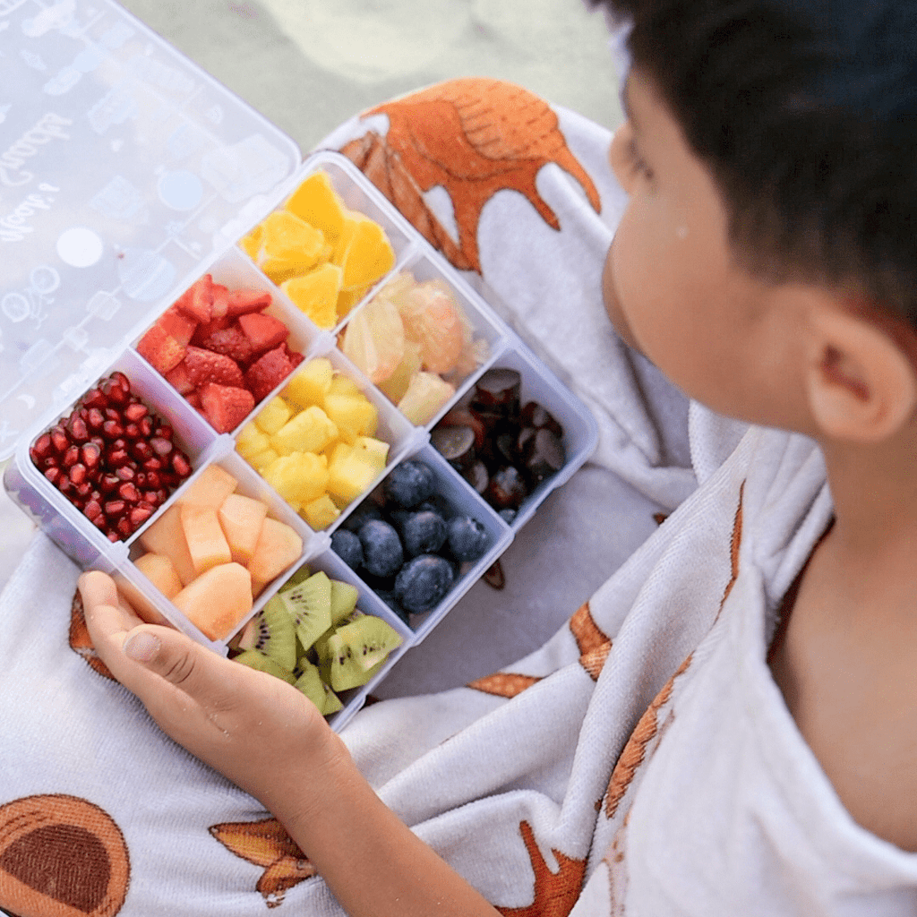 9-Compartment Snack Box - Fruits