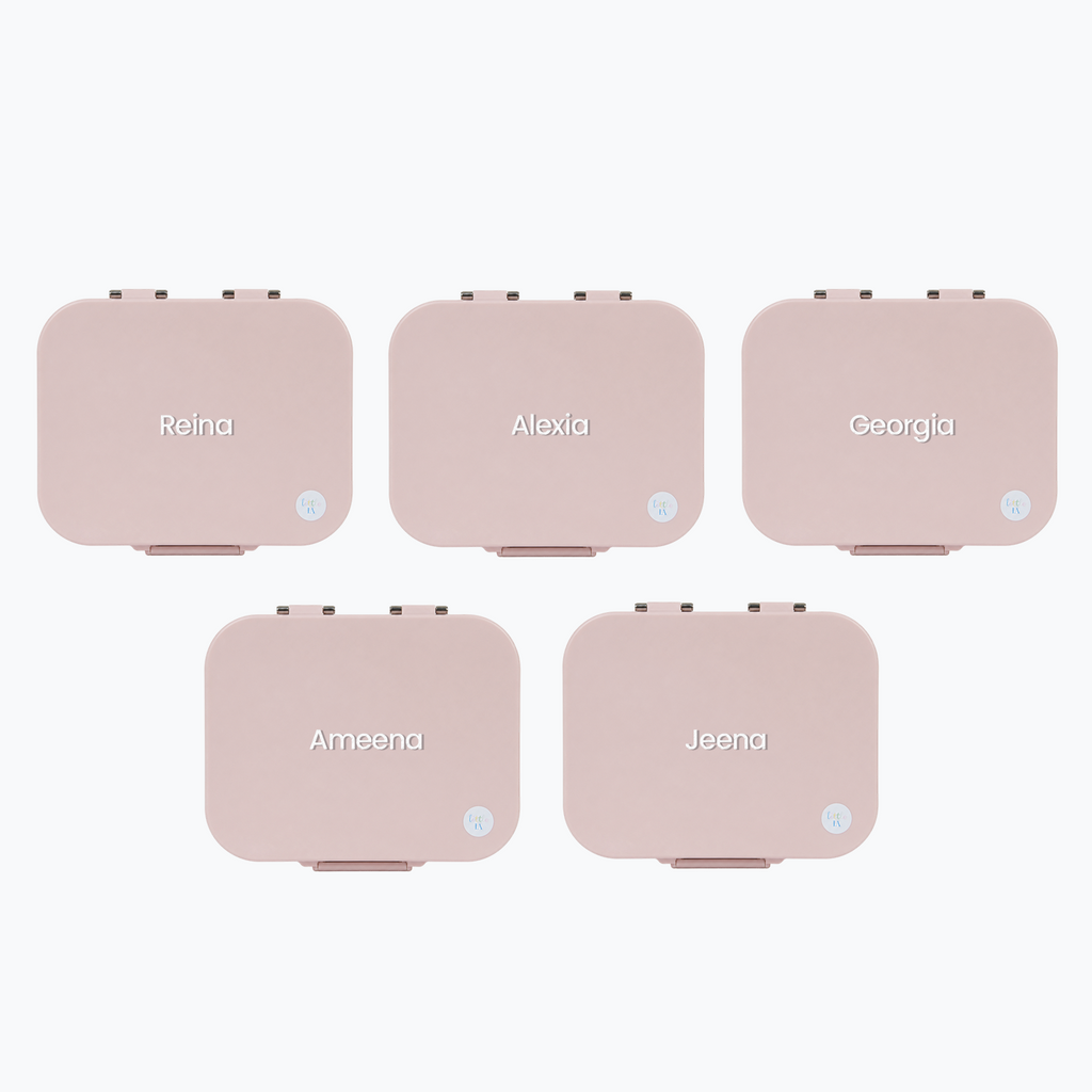 Party Favour: Plain Stainless Steel Lunchboxes
