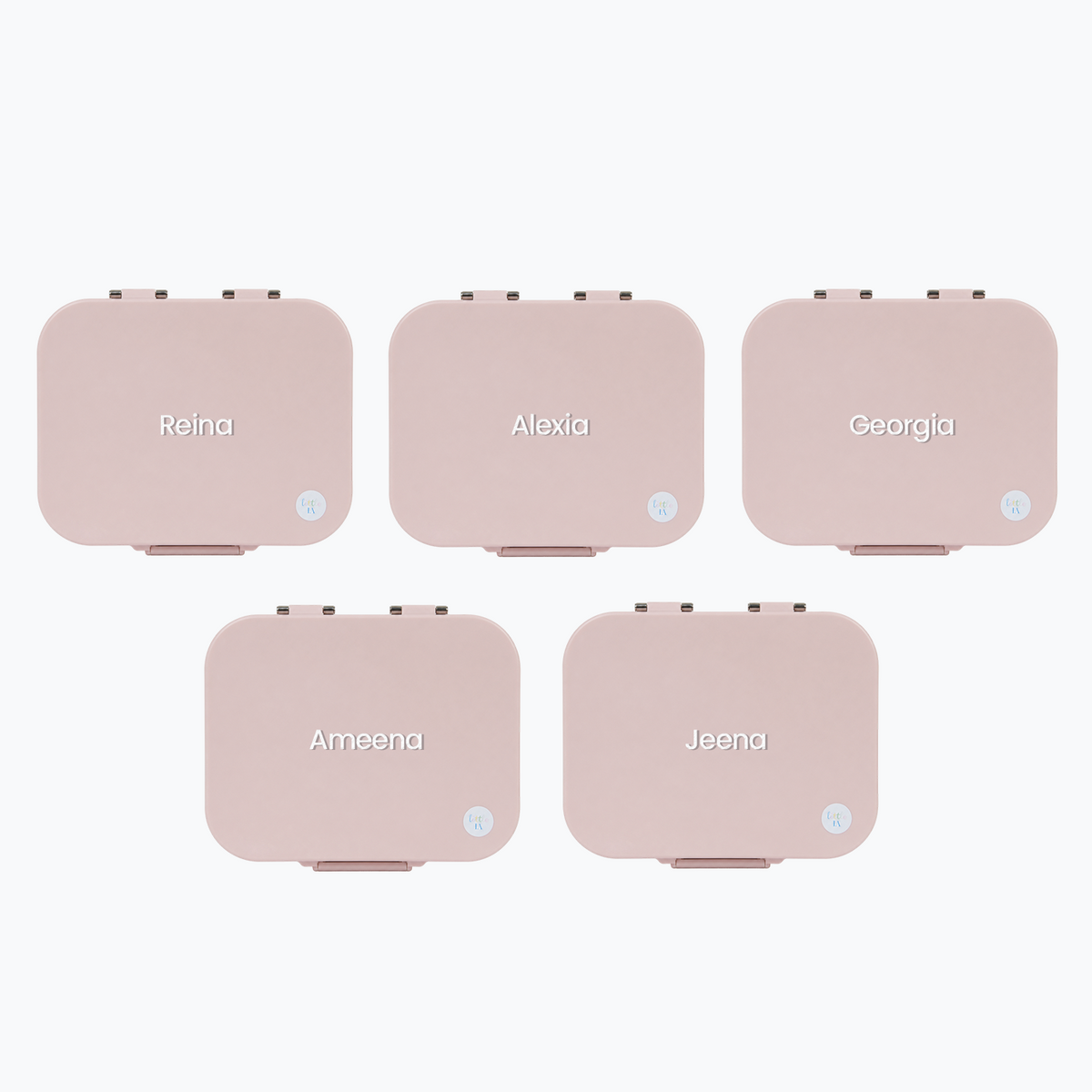 Party Favour: Plain Stainless Steel Lunchboxes