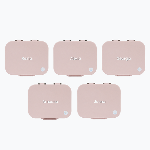 Party Favour: Plain Stainless Steel Lunchboxes
