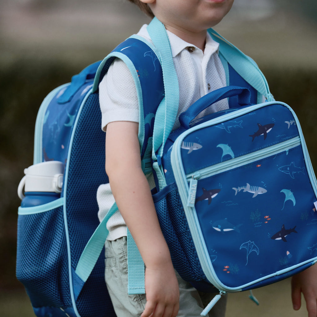 Open Water Ultimate 6 pcs School Set