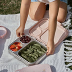 Fairyland Stainless Steel Lunchbox