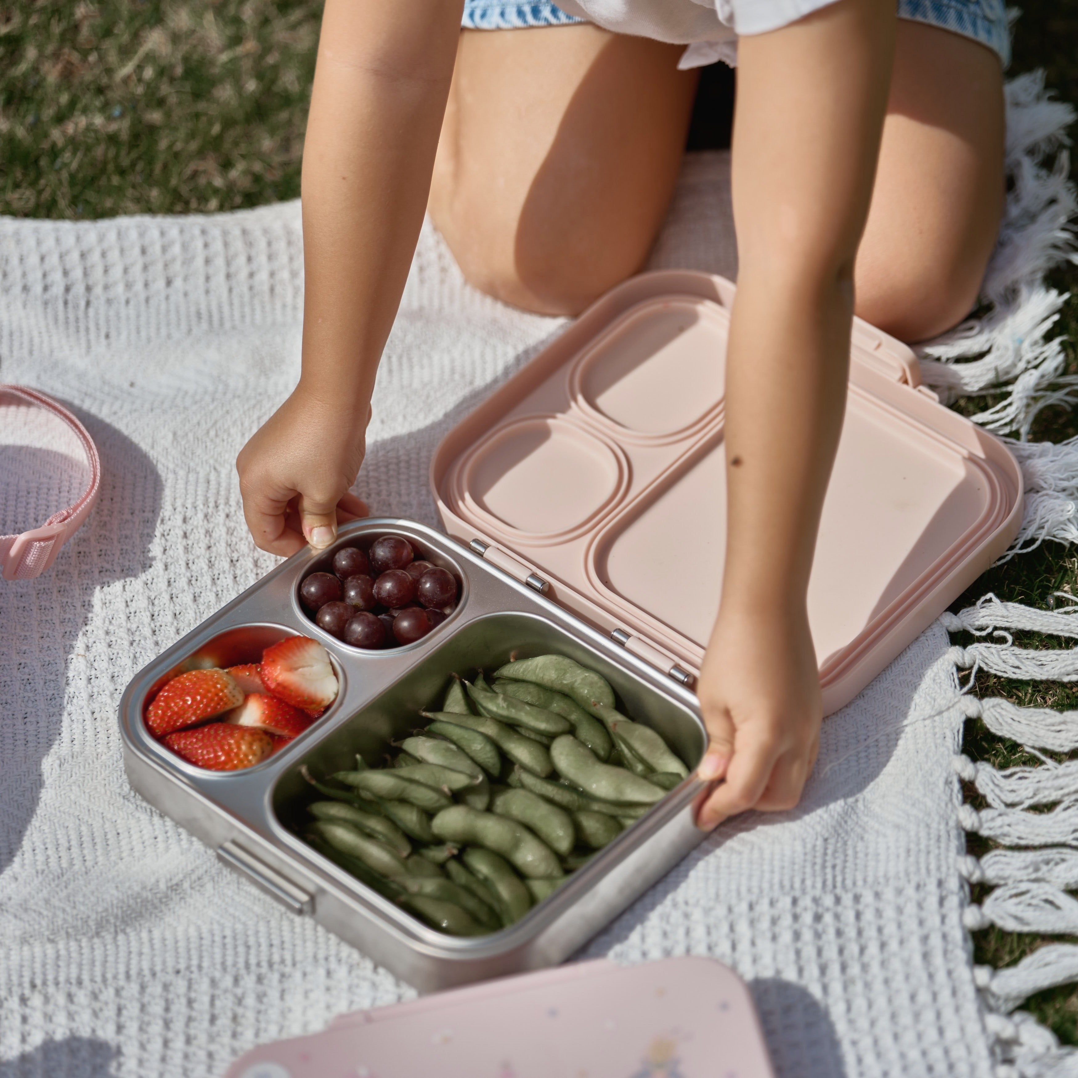Fairyland Stainless Steel Lunchbox