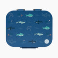 Open Water Stainless Lunchbox