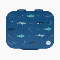 Open Water Stainless Lunchbox