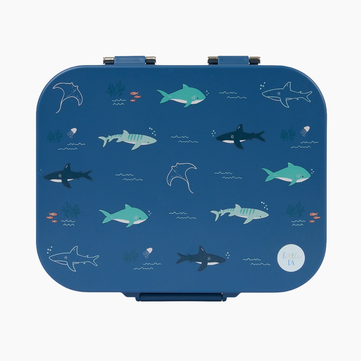 Open Water Stainless Lunchbox