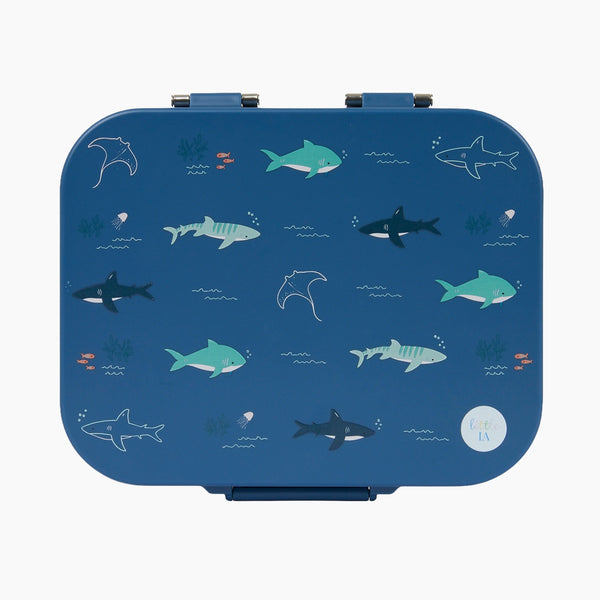 Open Water Stainless Lunchbox