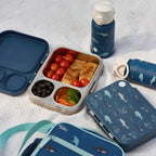 Open Water Stainless Lunchbox