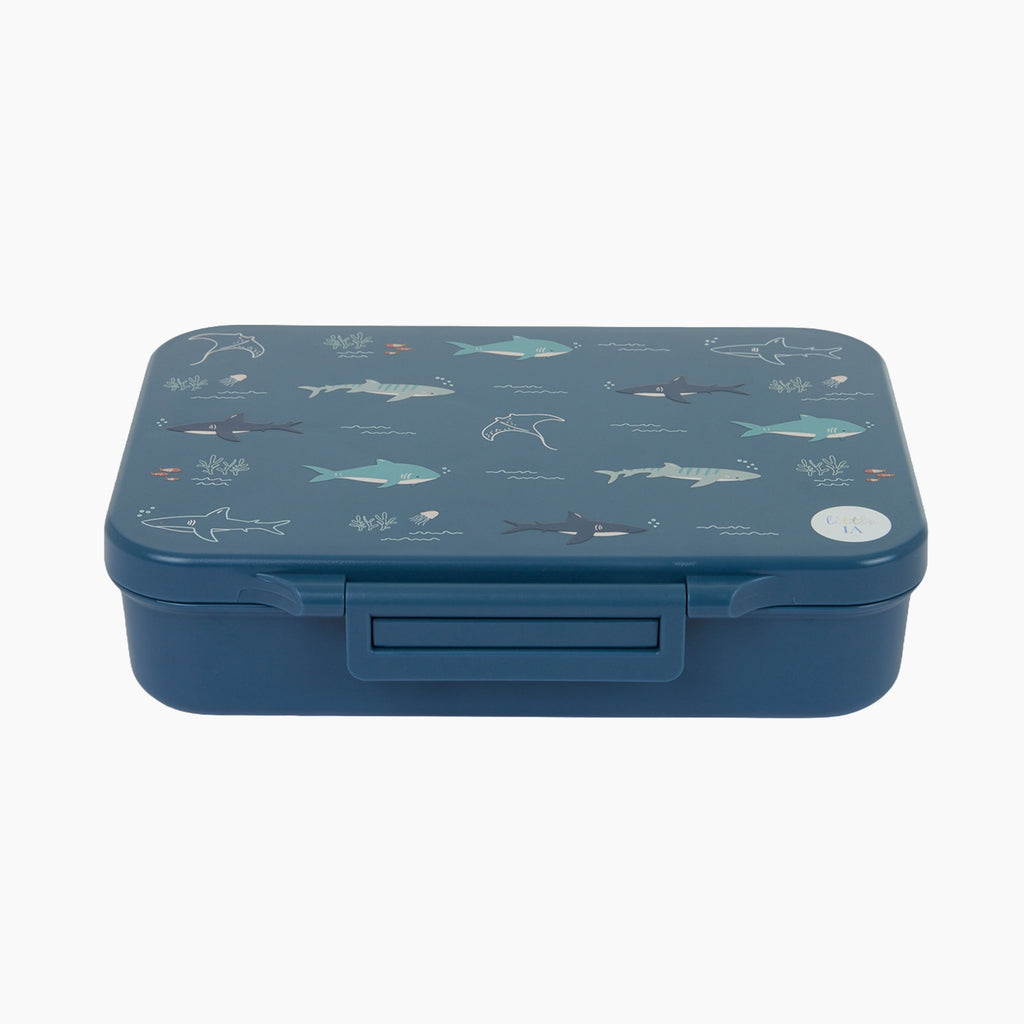 Open Water Tritan Lunchbox - 4 Compartments
