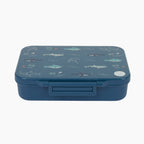 Open Water Tritan Lunchbox - 4 Compartments