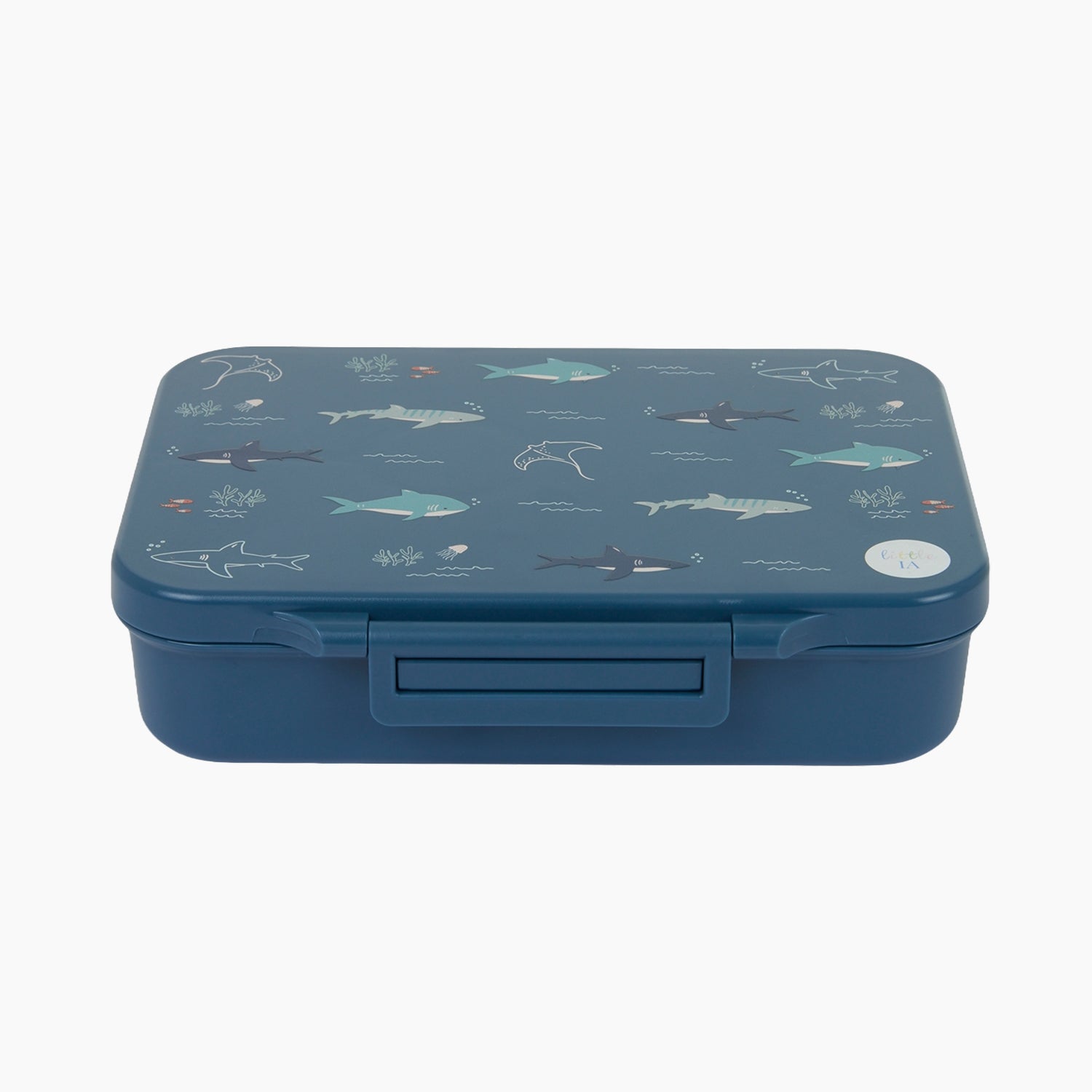 Open Water Tritan Lunchbox - 4 Compartments