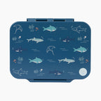 Open Water Tritan Lunchbox - 4 Compartments