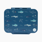 Open Water Tritan Lunchbox - 4 Compartments