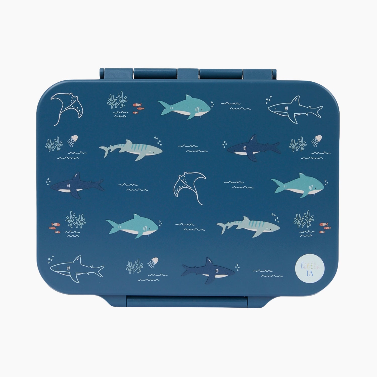 Open Water Tritan Lunchbox - 4 Compartments