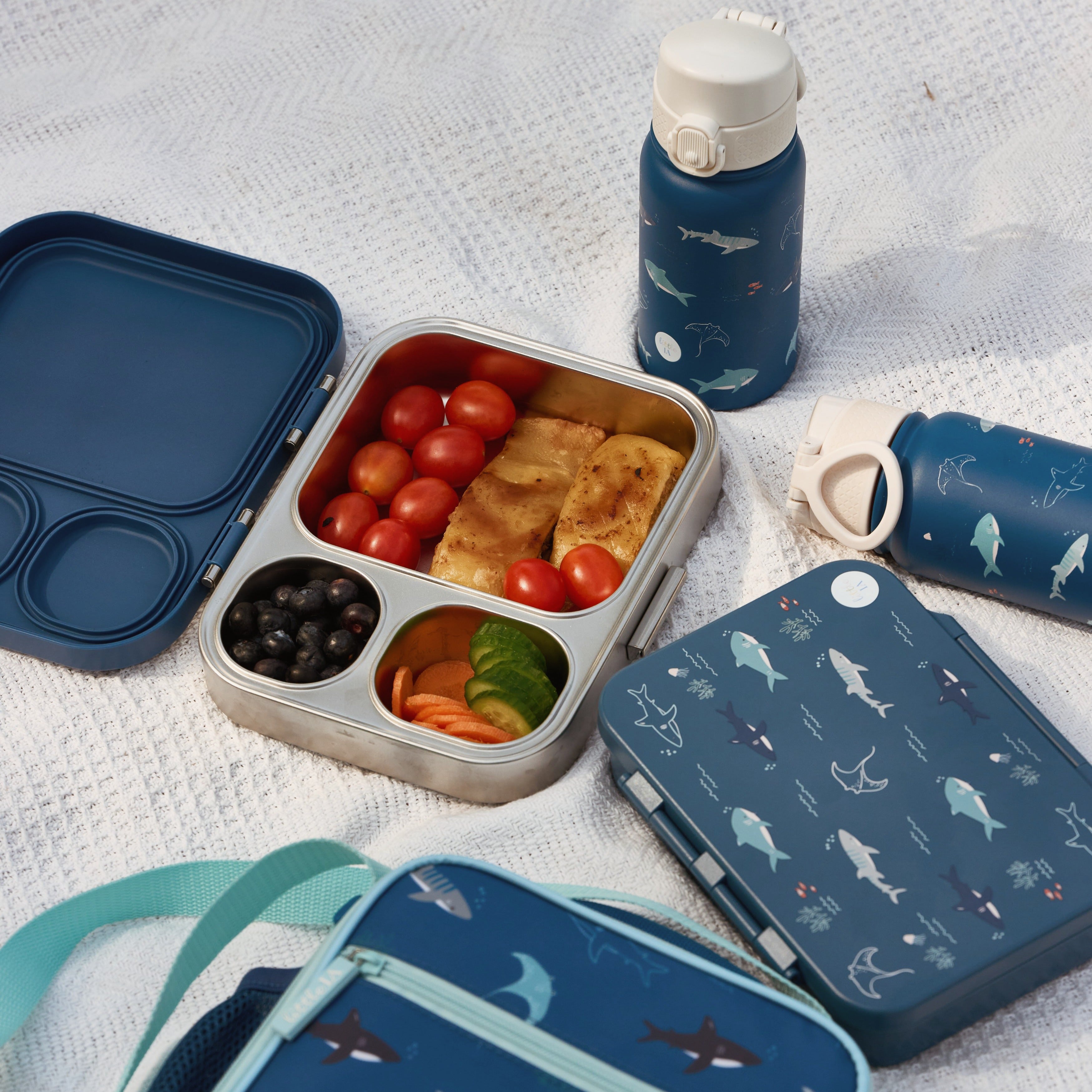 Open Water Tritan Lunchbox - 4 Compartments
