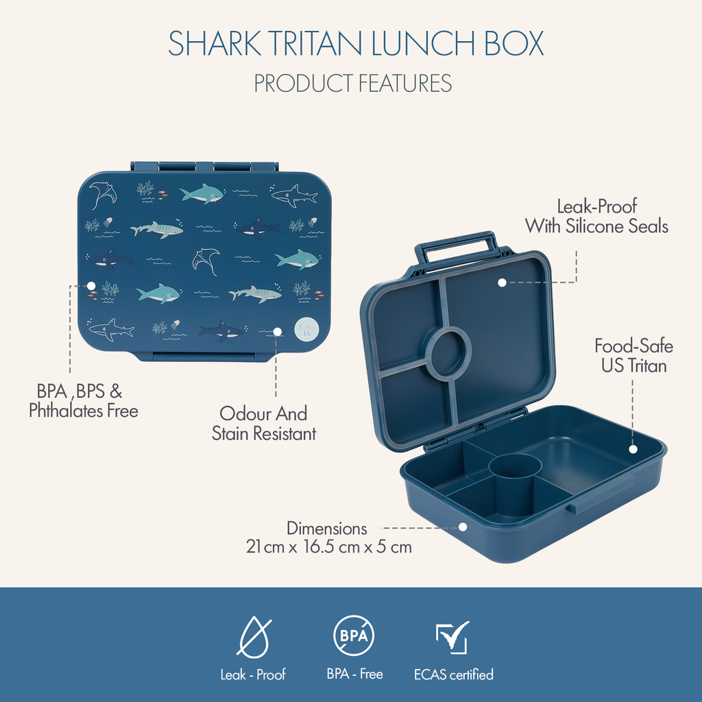 Open Water Lunchtime Essential 3pc Set