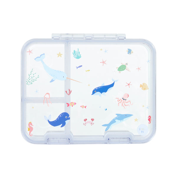 Seaworld Tritan Snack Box - 3 Compartments