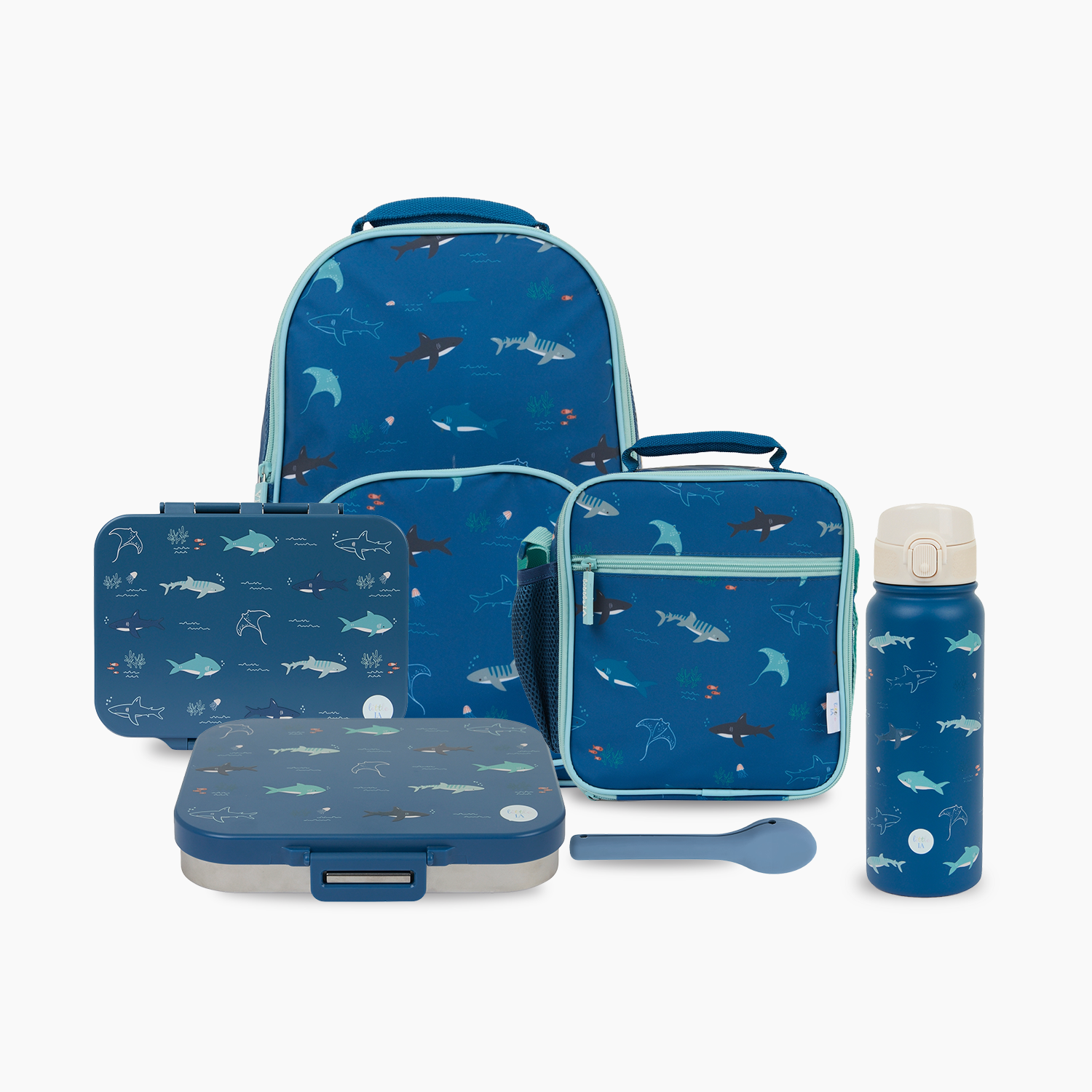 Open Water Ultimate 6 pcs School Set