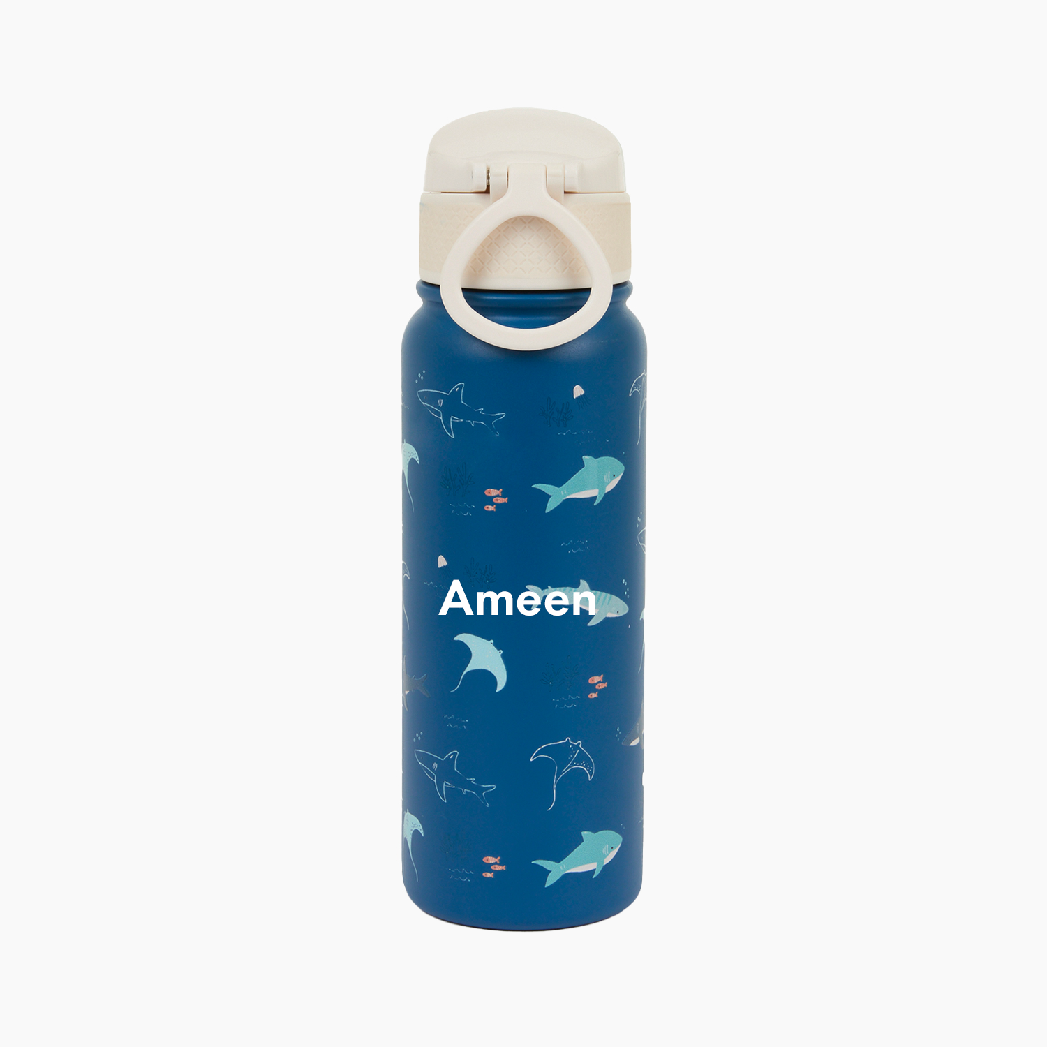 Open Water Ultimate 6 pcs School Set