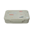 Transport Bento Box - 4 Compartments