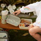 Transport Bento Box - 4 Compartments