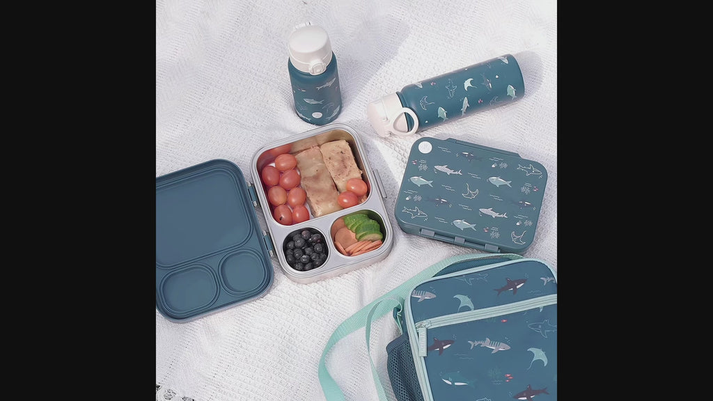 Open Water Tritan Lunchbox - 4 Compartments
