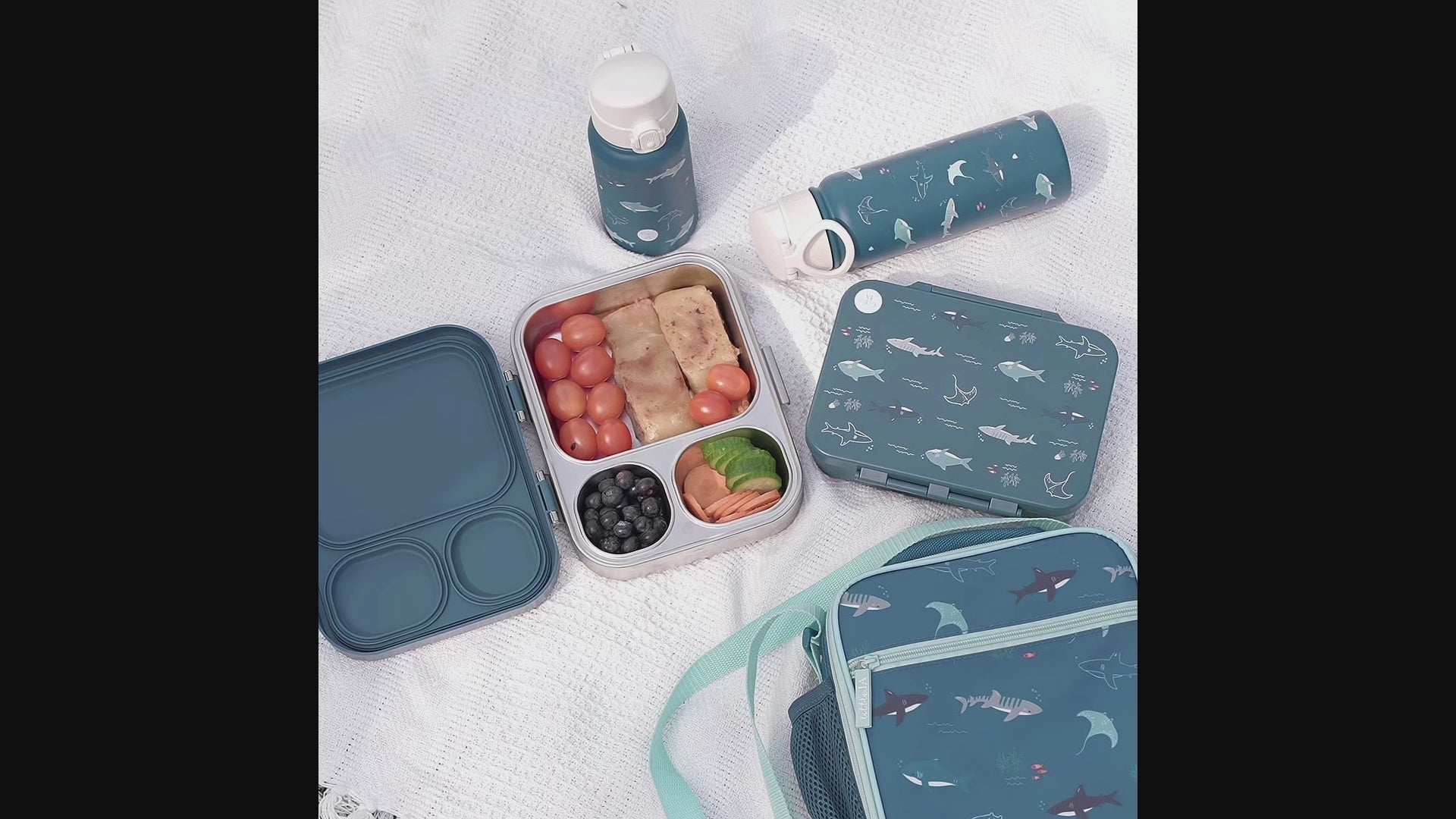 Open Water Tritan Lunchbox - 4 Compartments