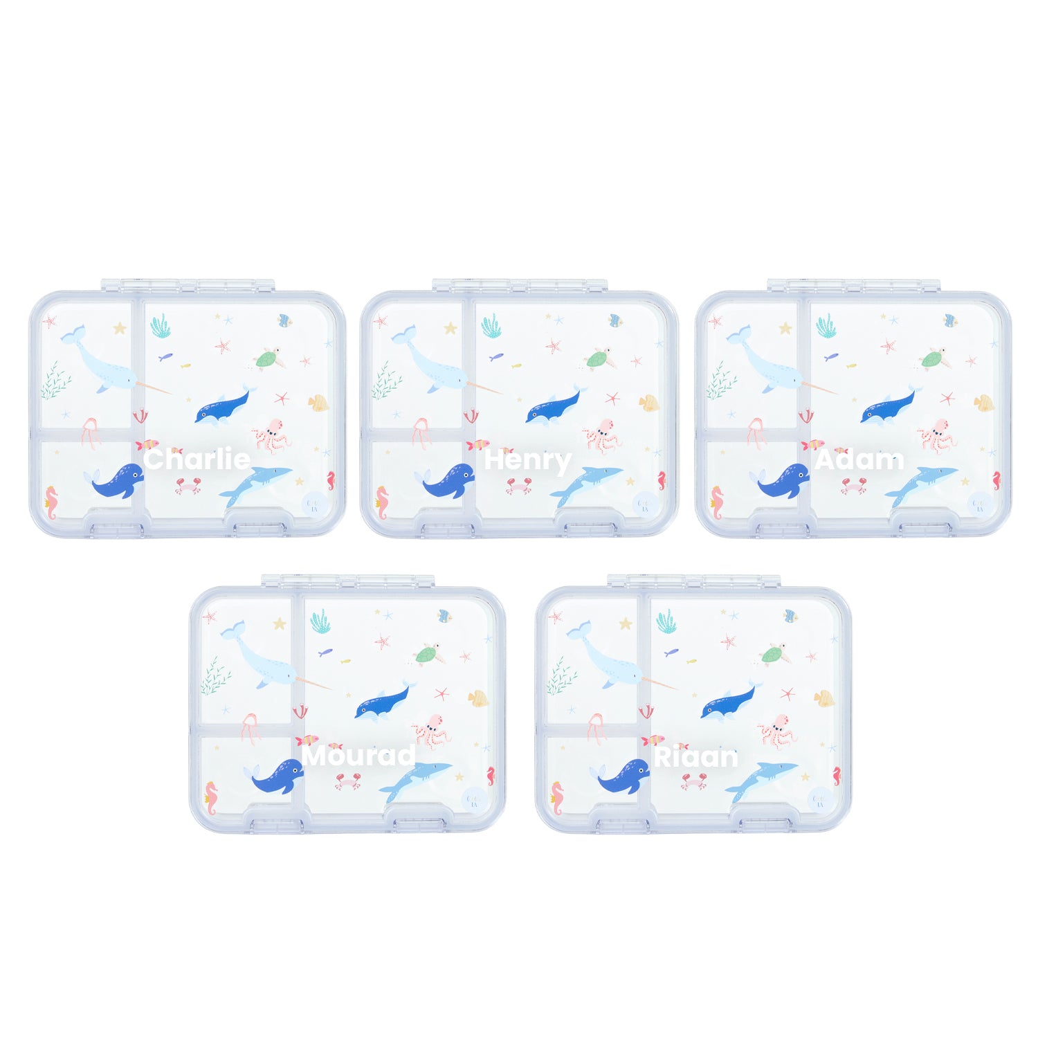 Party Favour: Seaworld Tritan Snack Box