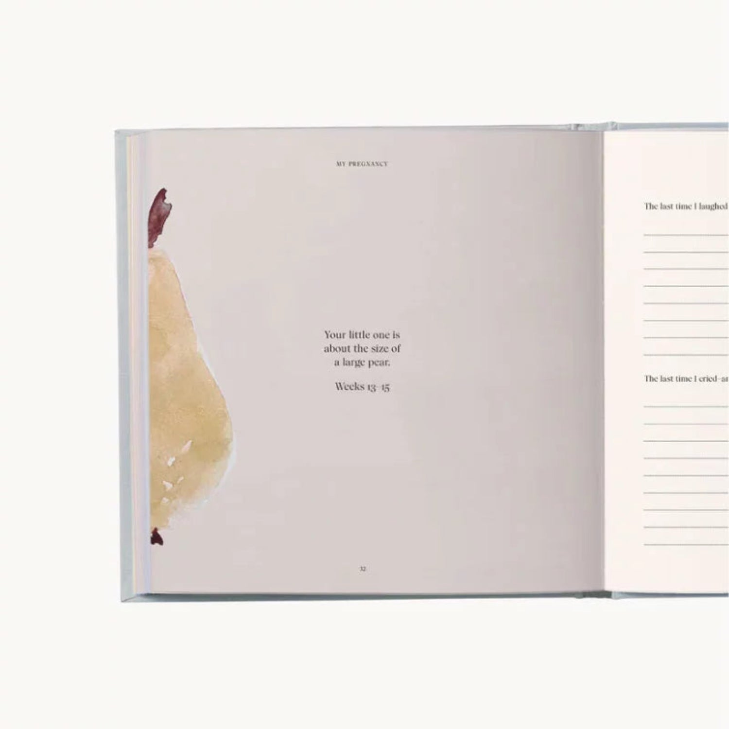 My Pregnancy – Memories & Treasures