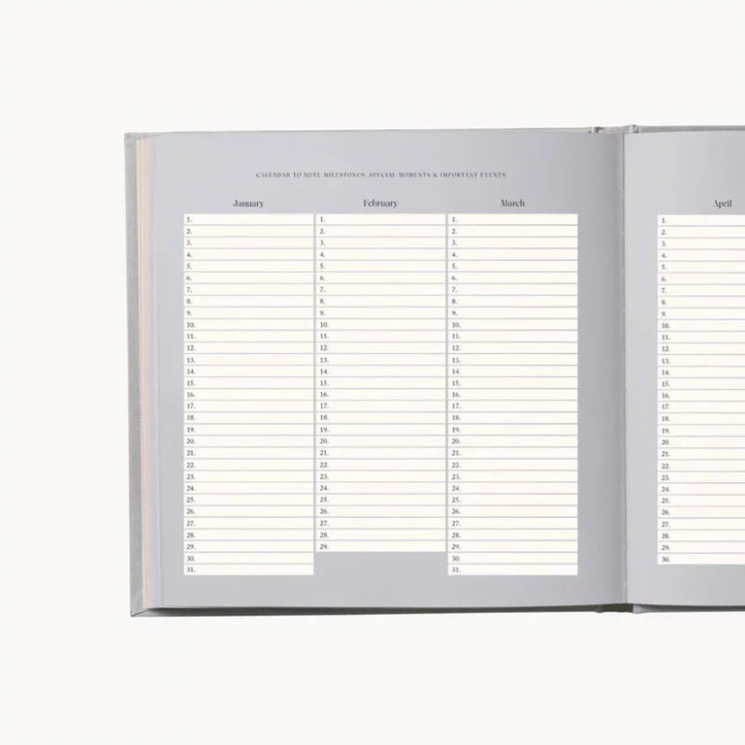 My Pregnancy – Memories & Treasures