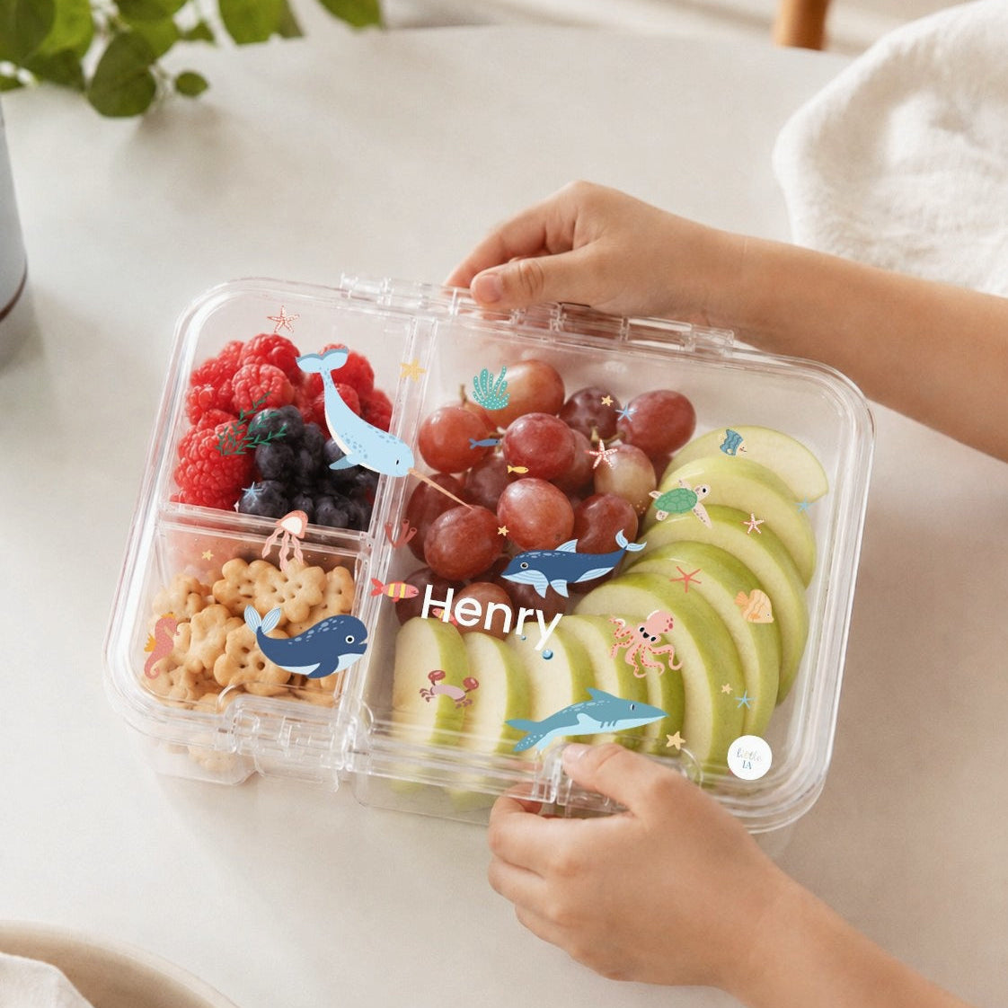 Seaworld Tritan Snack Box - 3 Compartments