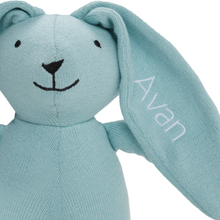 Load image into Gallery viewer, Soft Blue Blossom Bunny Toy
