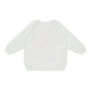 Big Brother Embroidered Knit Sweater