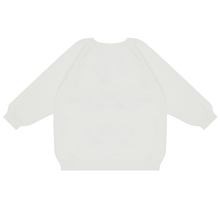 Load image into Gallery viewer, Christmas Sweater - Dear Santa, I Can Explain Knit Sweater
