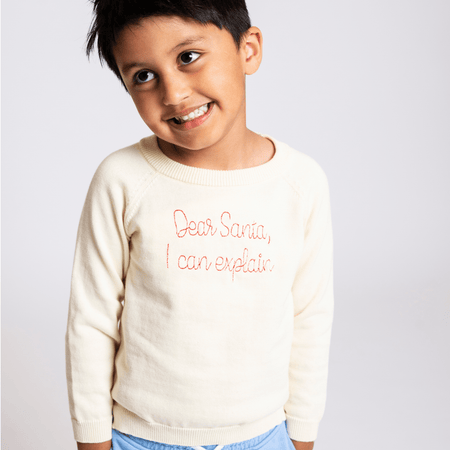 Christmas Sweater - Dear Santa, I Can Explain Knit Sweater