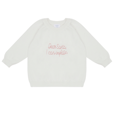 Load image into Gallery viewer, Christmas Sweater - Dear Santa, I Can Explain Knit Sweater
